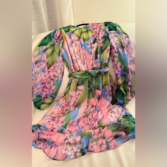 Alex Marie Floral Dress crinkle chiffon v-neckline Long sleeves Size 6 - Picture 5 of 12